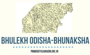 bhulekh odisha plot details