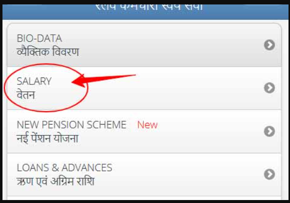 RESS Salary Slip Railway Employee - clicking salary option on portal