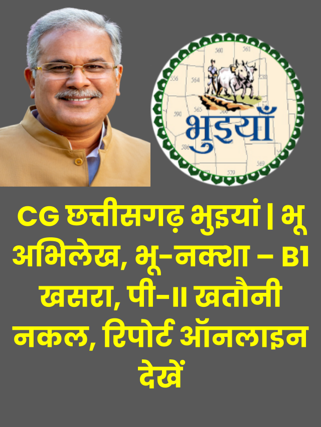 Bhuiyan Chhattisgarh Land Records