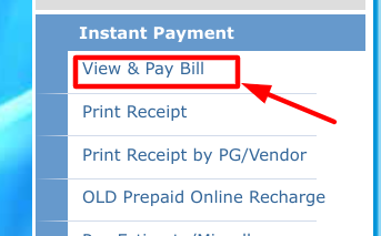 sbpdcl bill download - choosing view and pay bill option