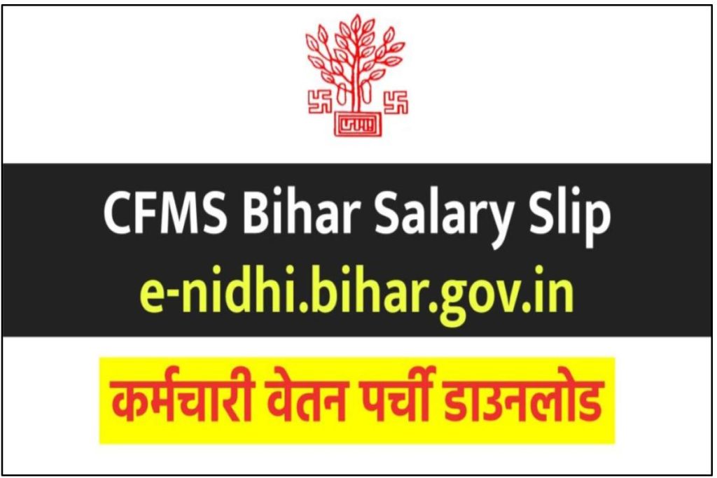 CFMS Bihar Salary Slip