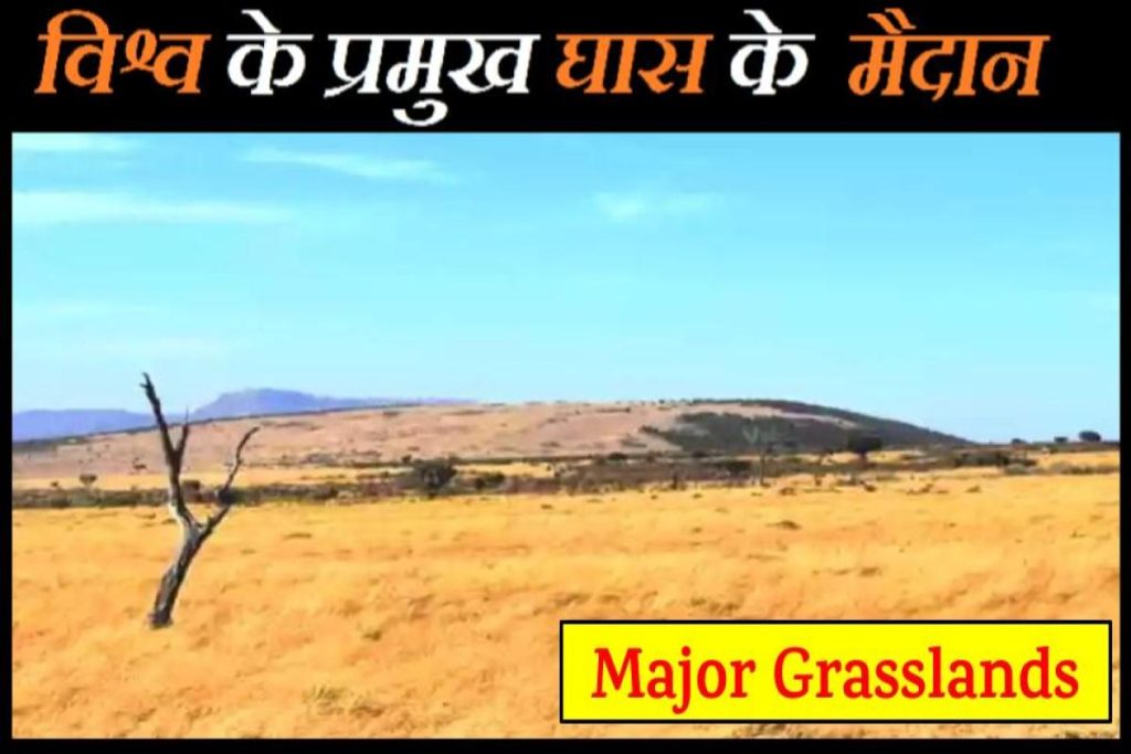 Major Grasslands of The World - विश्व के प्रमुख घास के मैदान