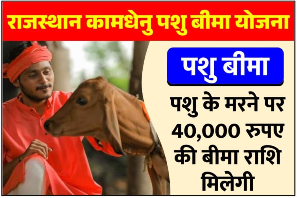 Rajasthan Kamdhenu Pashu Bima Yojana - राजस्थान कामधेनु पशु बीमा योजना