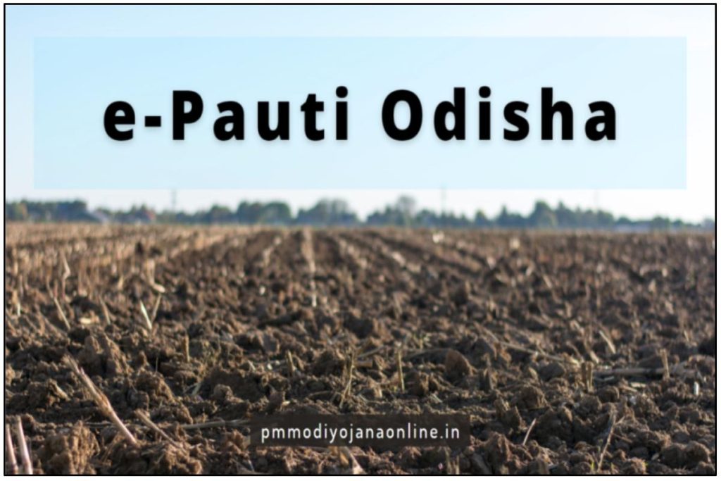 e Pauti Odisha
