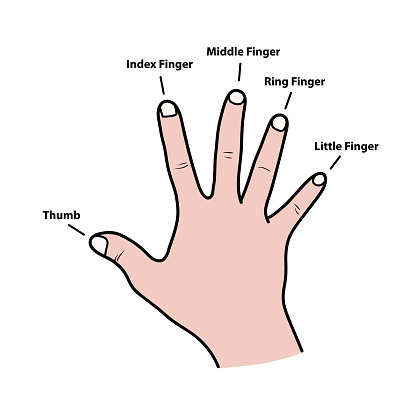 fingers - शरीर के अंगों के नाम