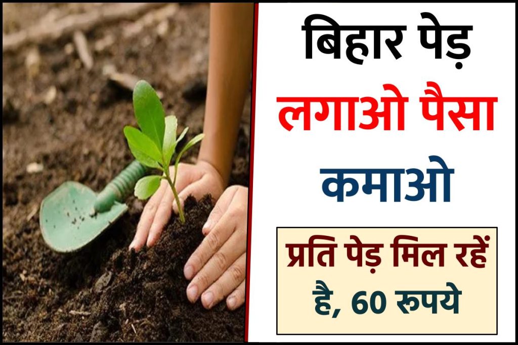 Bihar Ped Lagao Paise Pao Yojana : पेड़ लगाने पर मिल रहे पैसे