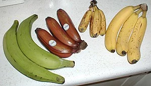 banana varity