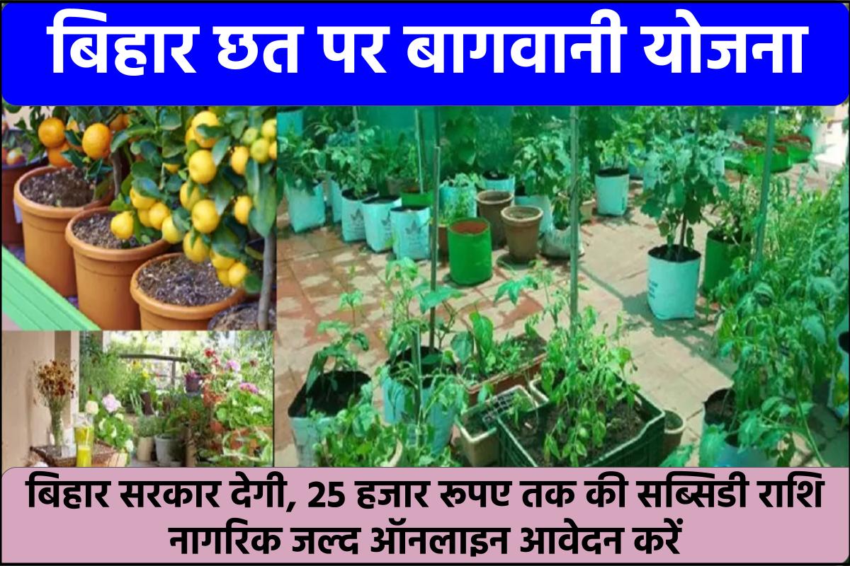 Bihar Chhat Par Bagwani Yojana बिहार छत बागवानी योजना