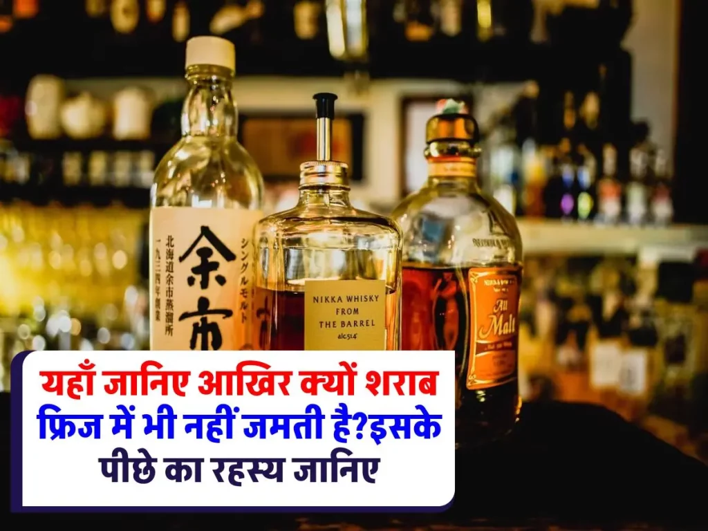 Alcohol Interesting Facts : शराब क्यों नहीं जमती? साइंस के पीछे का रहस्य